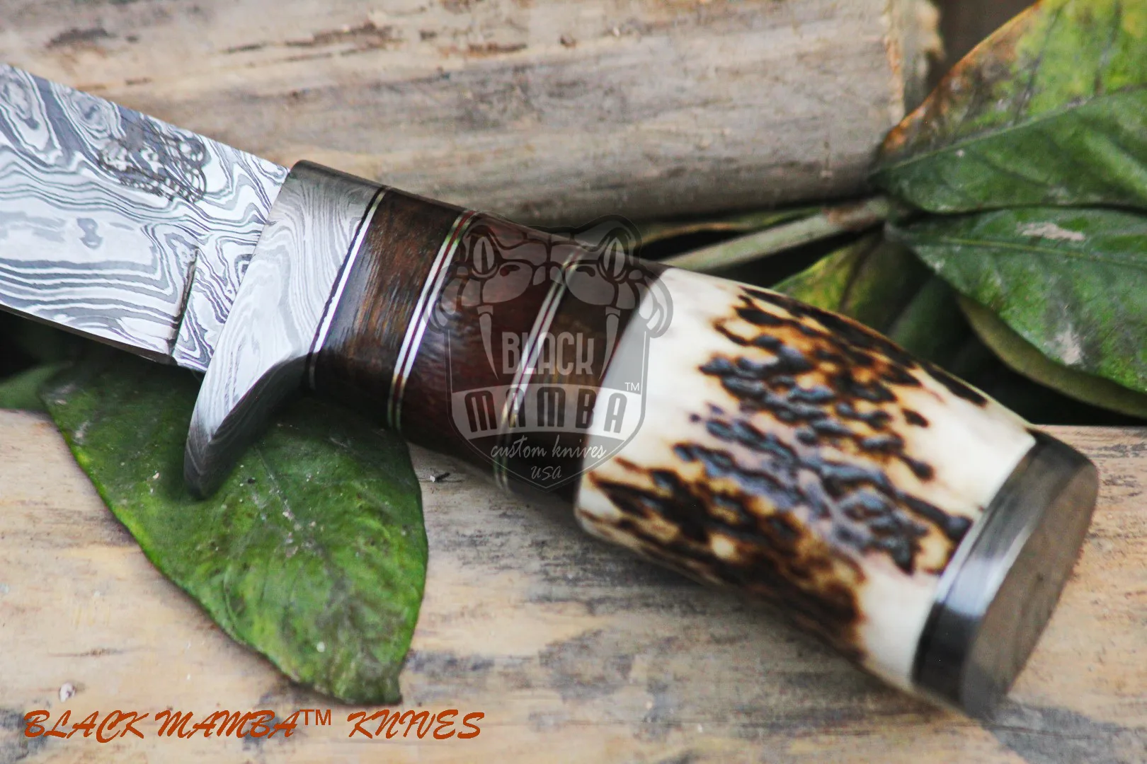 Eagle - Damascus Hunting Knife, 8.2″ Overall, Stag Handle - view 6