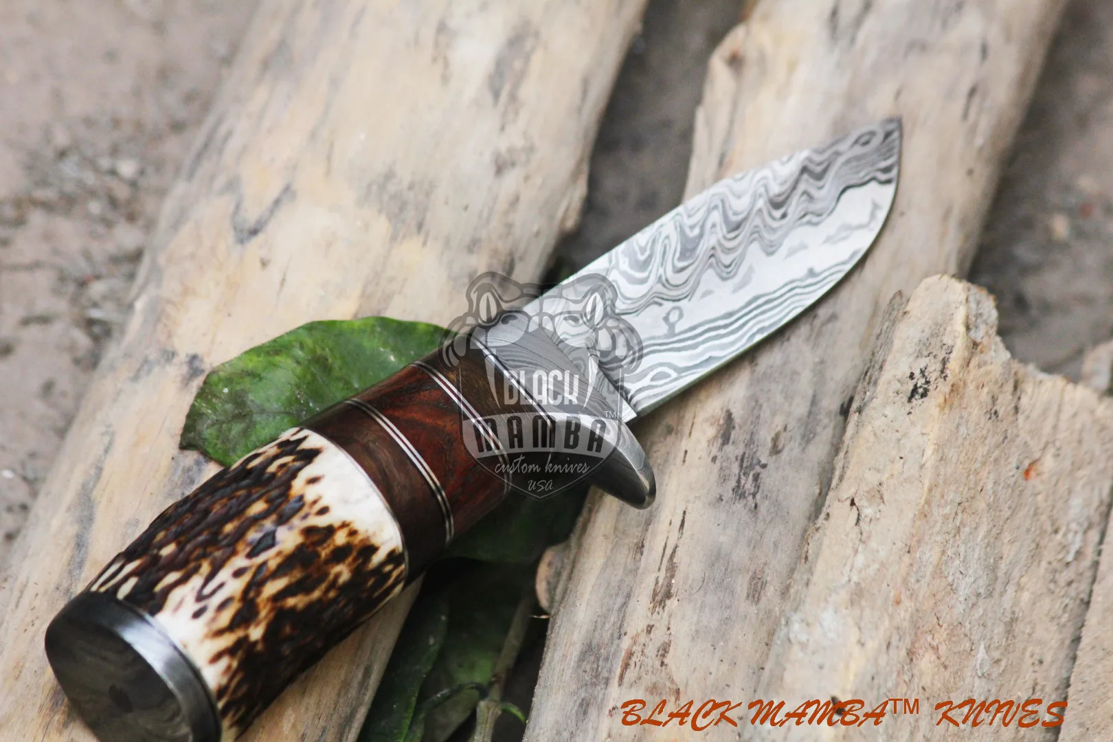 Eagle - Damascus Hunting Knife, 8.2″ Overall, Stag Handle - view 9