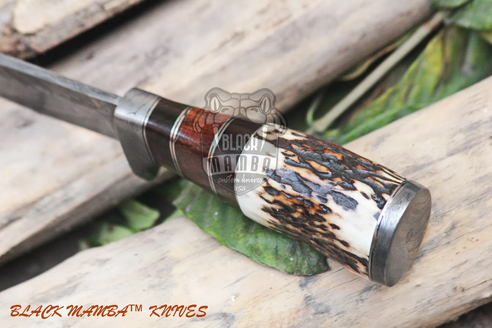 Eagle - Damascus Hunting Knife, 8.2″ Overall, Stag Handle - view 10