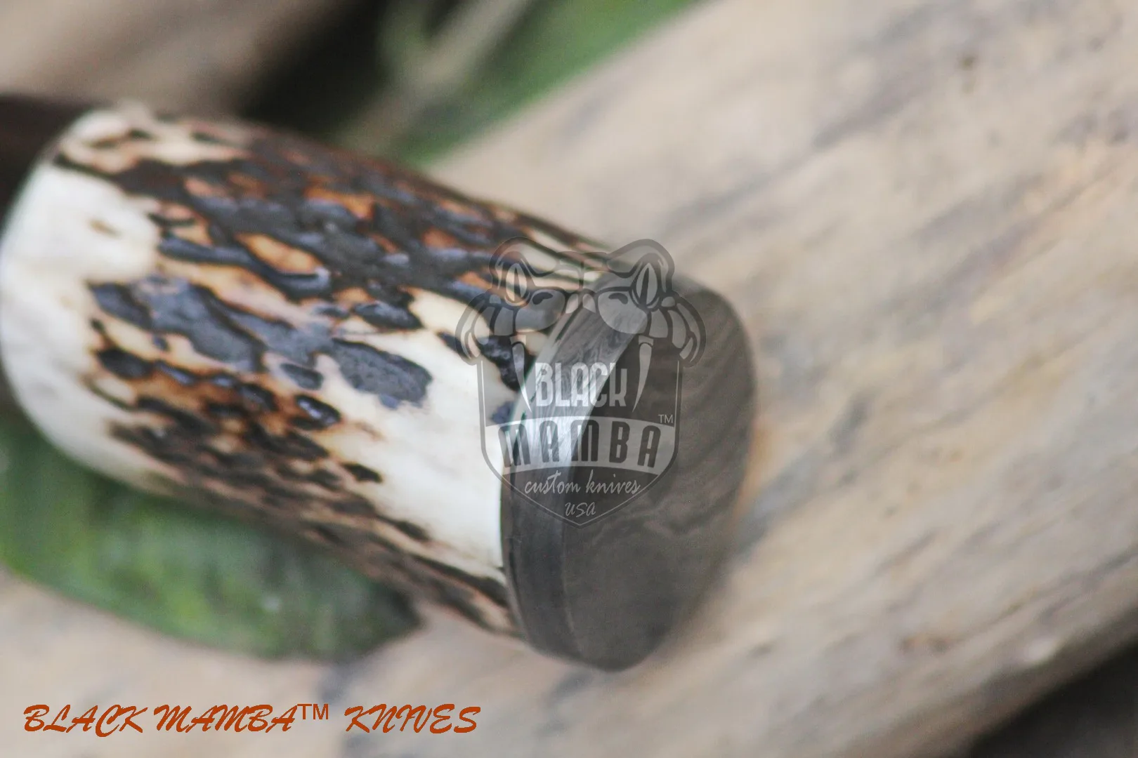 Eagle - Damascus Hunting Knife, 8.2″ Overall, Stag Handle - view 11