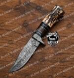 Scorpion - Damascus Hunting Knife, 10″ Overall, Stag Handle