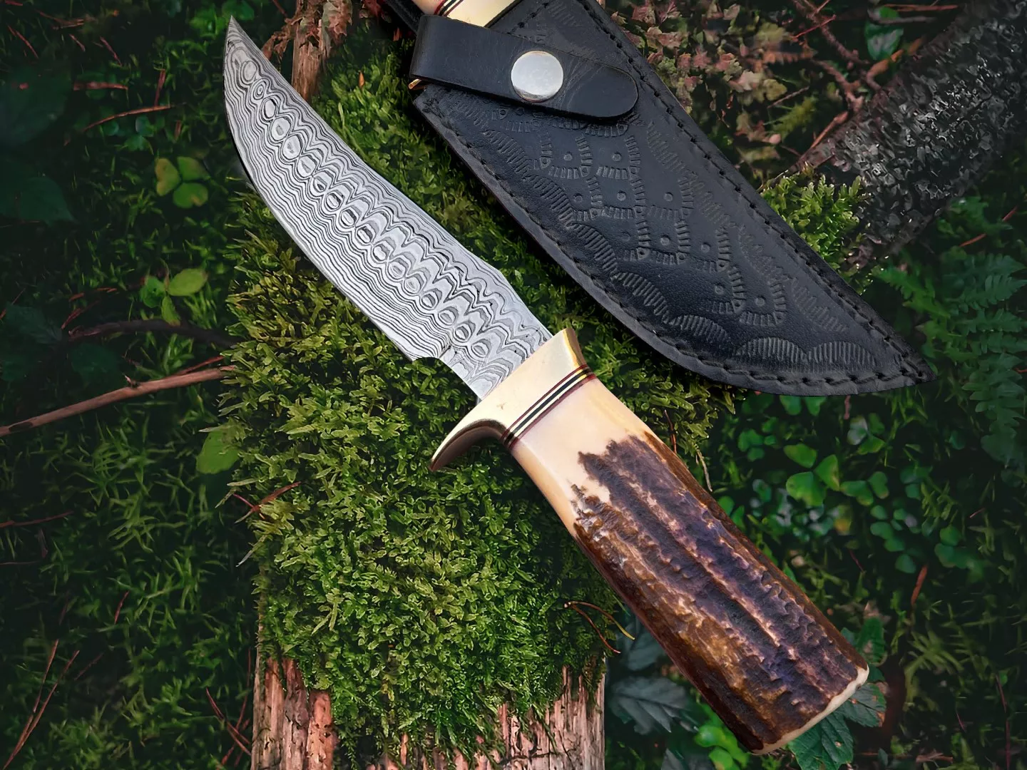 Rattle Snake - Damascus Hunting Knife, 10″ Overall, Stag Handle