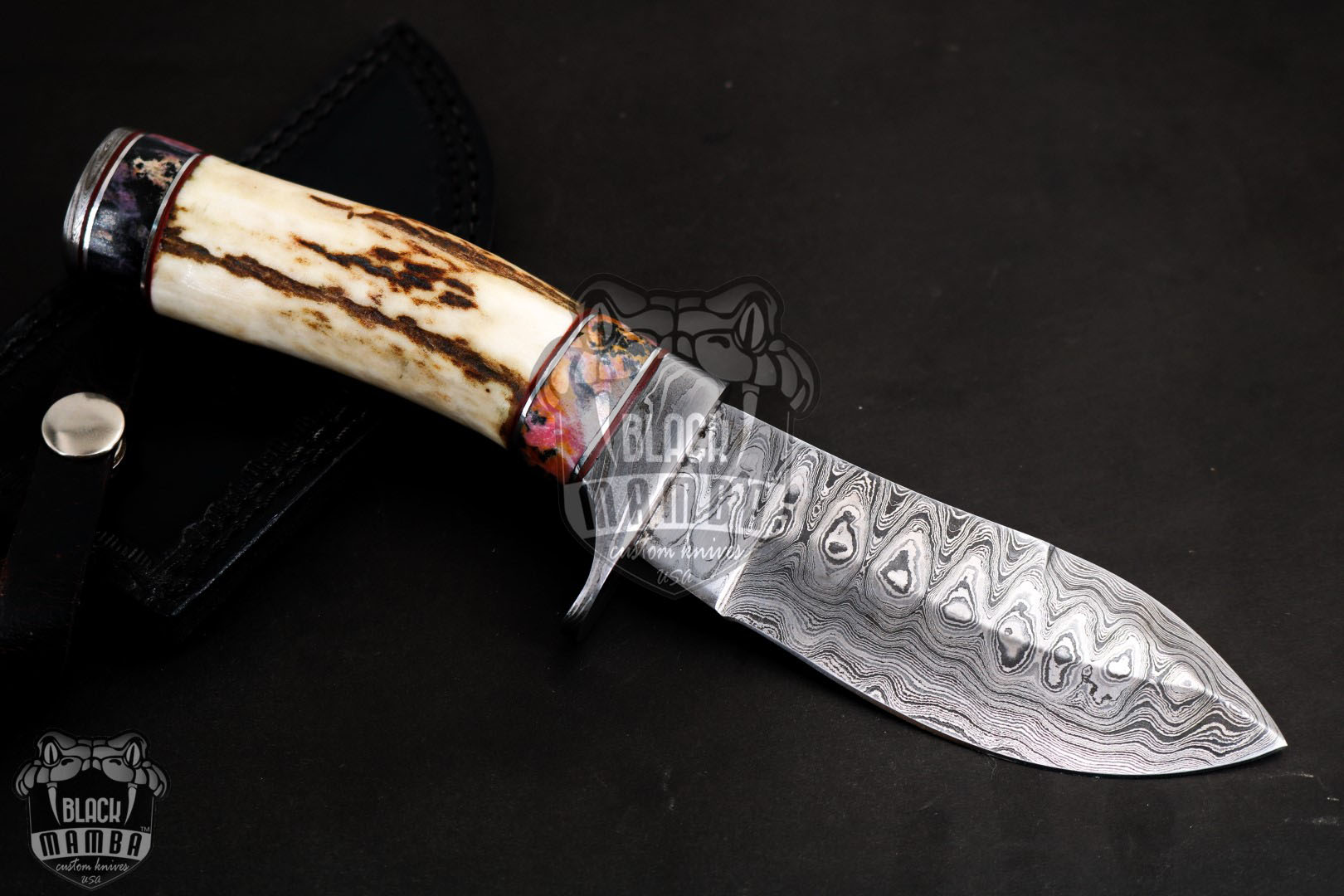 Queen Snake 4.9 Closed Damascus Pocket Knife Stag Antler Handle