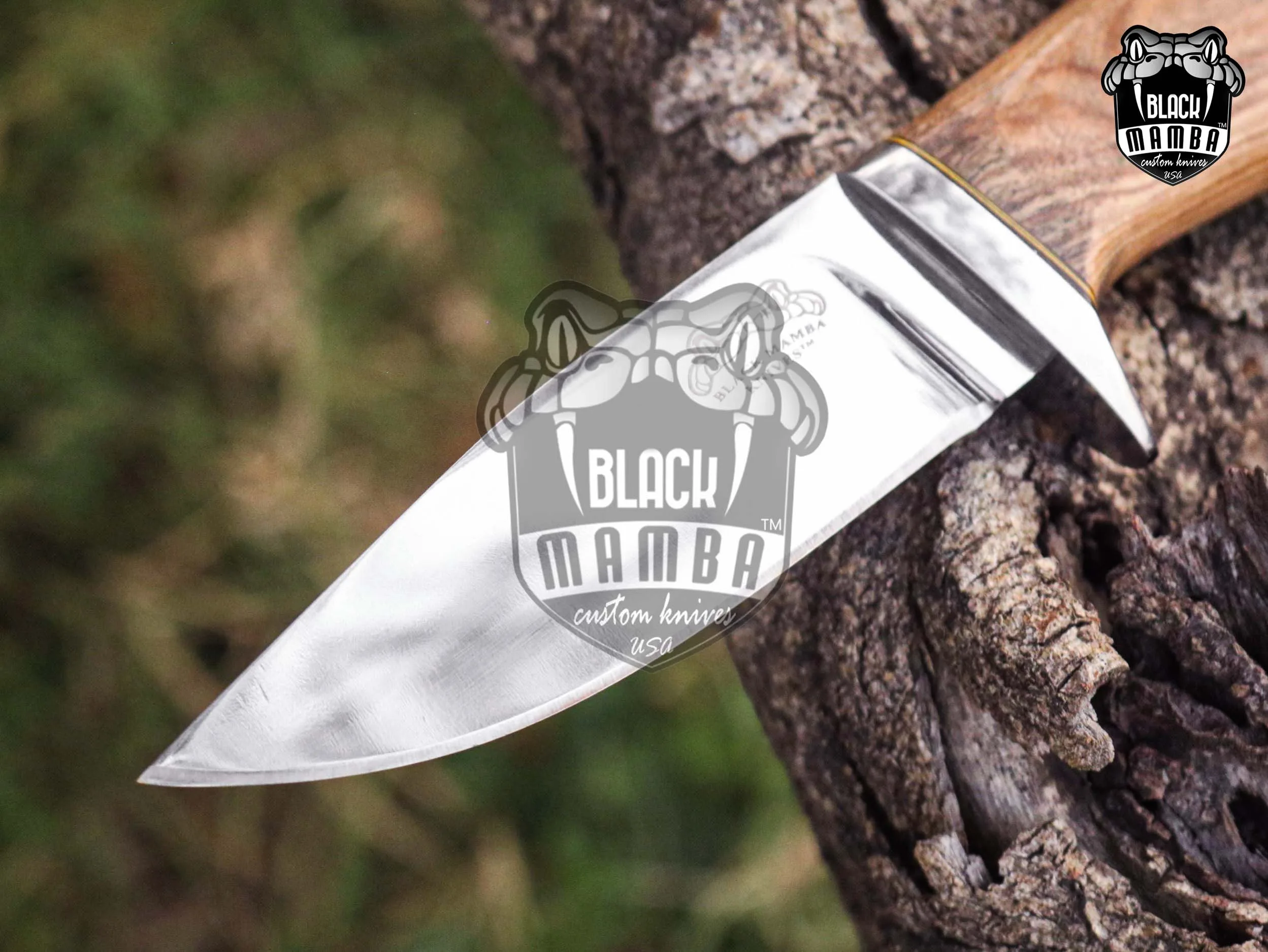 Taipan - 440C Steel Hunting Knife, 9″ Overall, Olive Wood Handle - view 9