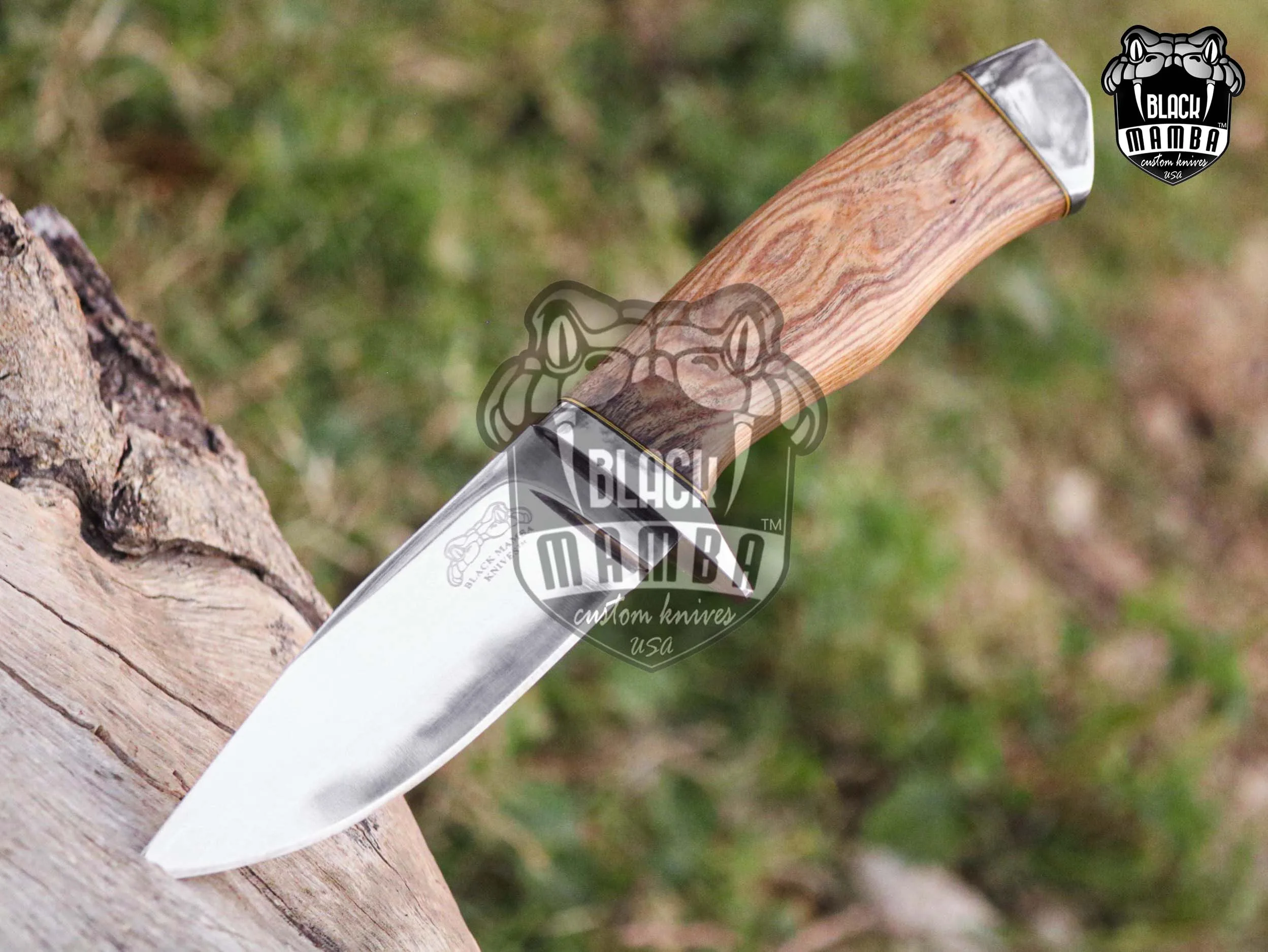 Taipan - 440C Steel Hunting Knife, 9″ Overall, Olive Wood Handle - view 3