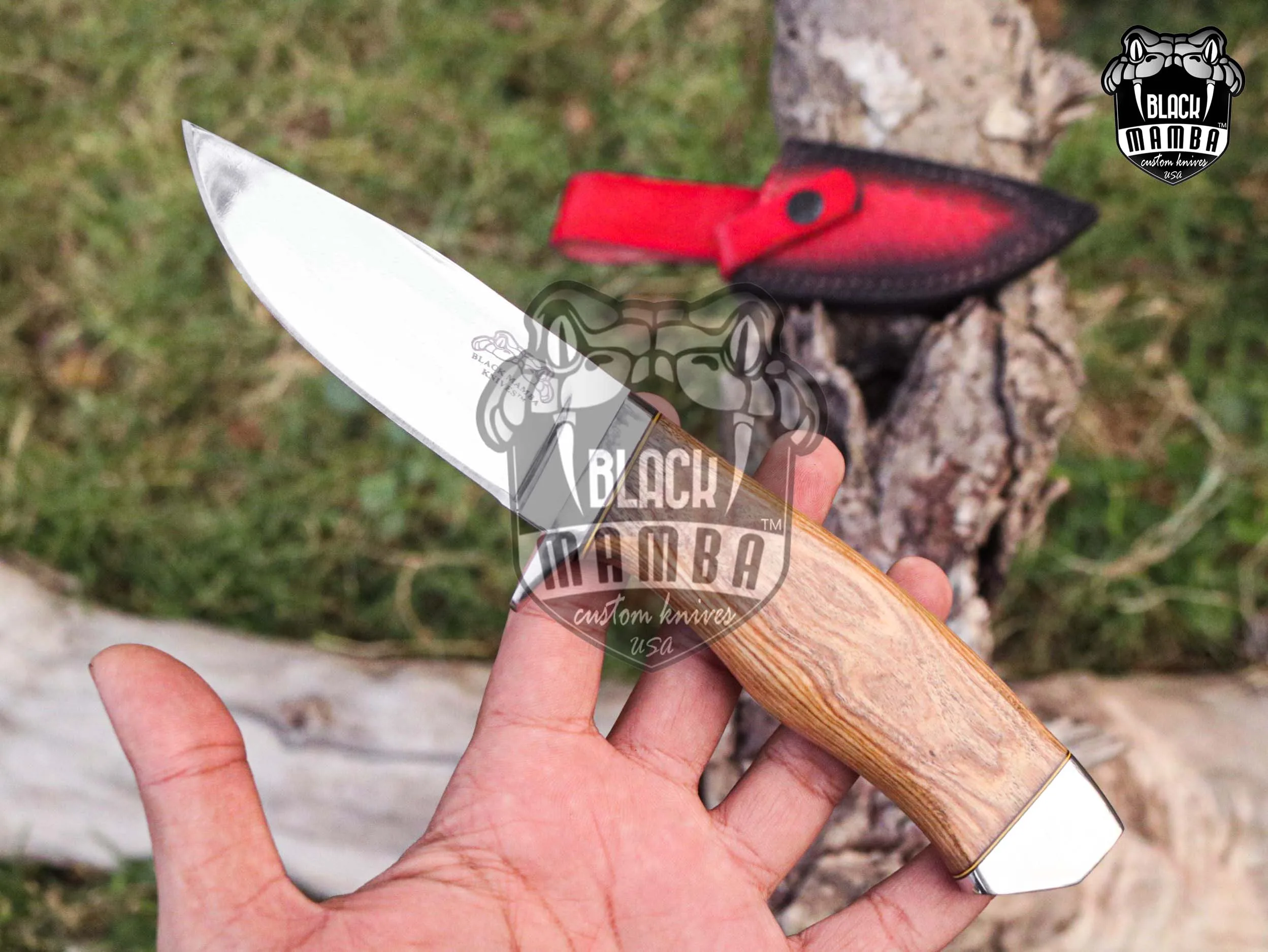 Taipan - 440C Steel Hunting Knife, 9″ Overall, Olive Wood Handle - view 2
