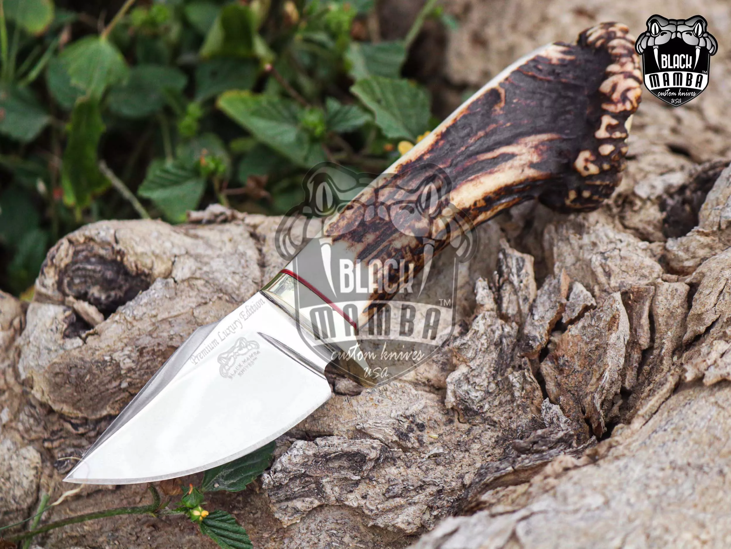 Gold Antler - Damascus Hunting Knife, 8″ Overall, Stag Handle