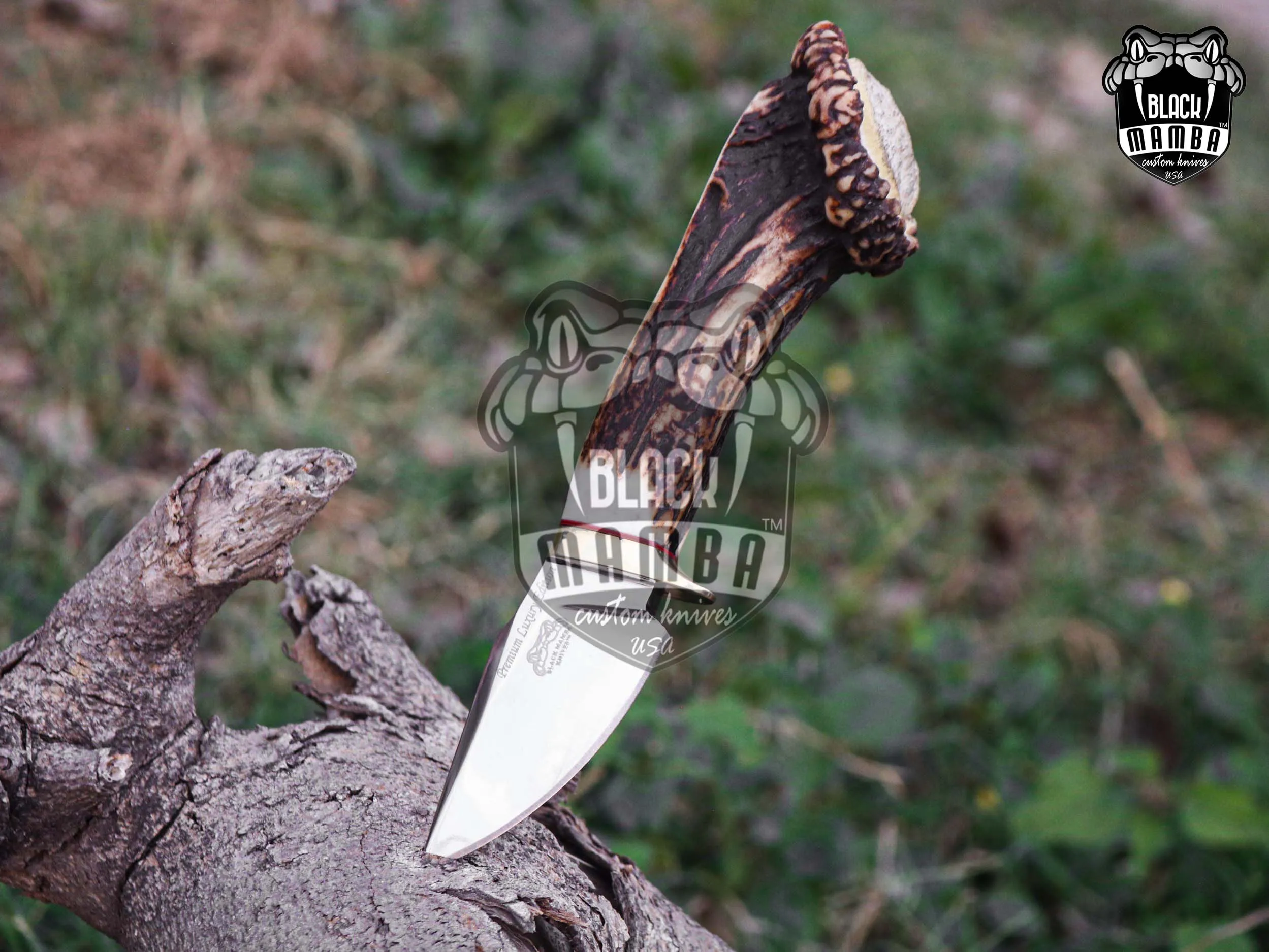 Gold Antler - Damascus Hunting Knife, 8″ Overall, Stag Handle - view 3
