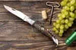 French Cuisine - Laguiole Steak Knife, 10″ Overall, Ram Horn Handle