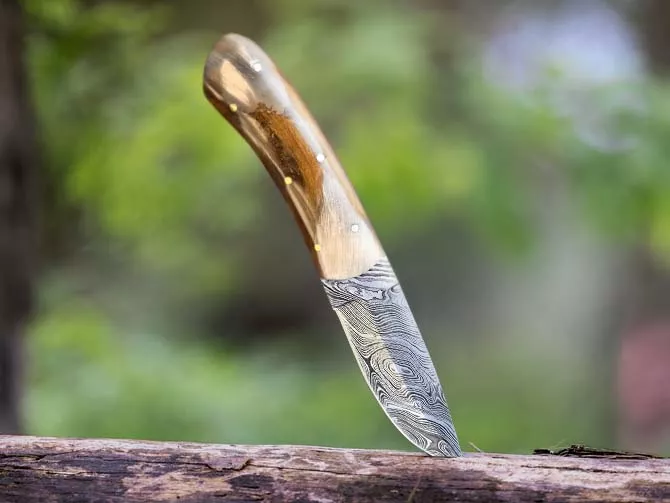 Hornback Skinner - Damascus Skinning Knife - view 2