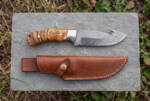 Tiger Curl Damascus gut hook hunting knife with curly maple burl handle and brown leather sheath on slate