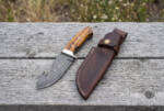 Grove Serpent Damascus gut hook hunting knife with olive wood handle and oxblood leather sheath on weathered wood