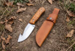 Goldleaf satin D2 gut hook hunting knife with maple burl handle and tan leather sheath on autumn ground