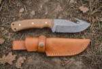 Coyote Ripple Damascus gut hook hunting knife with coyote tan Micarta handle and tan leather sheath on bare ground