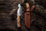 Thicket Warden satin D2 gut hook hunting knife with olive wood handle, brass pins and brown leather sheath