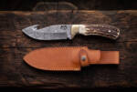 Royal Stag Damascus gut hook hunting knife with stag antler handle, brass bolster and tan leather sheath