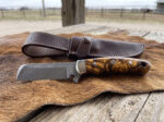 Amber Drover Damascus cowboy bull cutter knife with olive burl wood handle and brown leather sheath on cowhide at a ranch