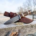 Eagle Damascus hunting knife BMK-101 with stag antler and walnut burl handle and brown leather sheath