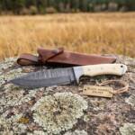 Great White Damascus hunting knife BMK-110 with cream bone handle and steel bolster and brown leather sheath